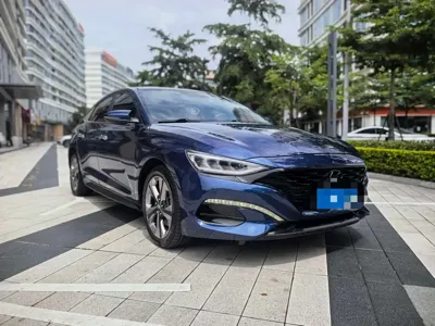 Hyundai Fista