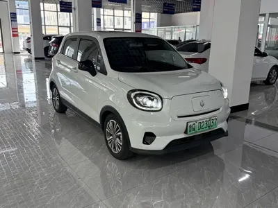 Leapmotor Leapmotor T03