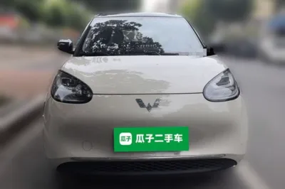 Wuling Bingo