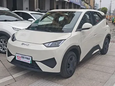 BYD Seagull