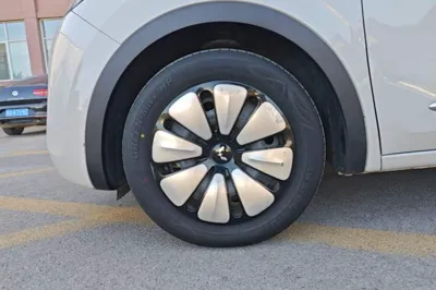 Wuling Bingo