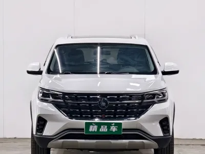 Fengxing Fengxing T5