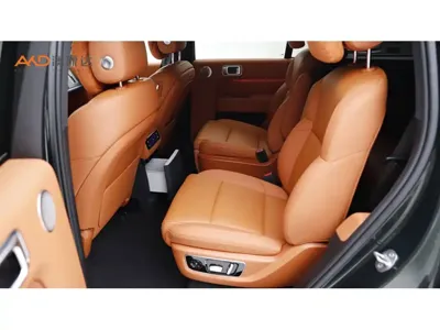 Li Auto Li L9
