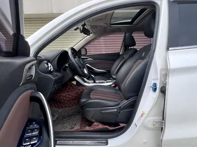 BYD New Energy
