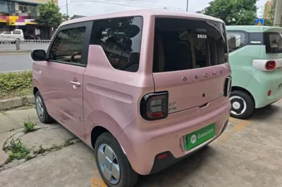 Geely Galaxy Panda