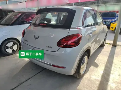 Wuling Bingo
