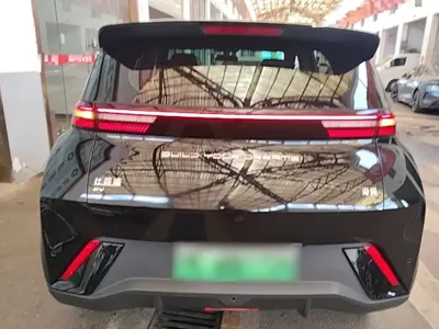 BYD Seagull
