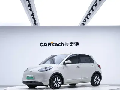 Wuling Bingo