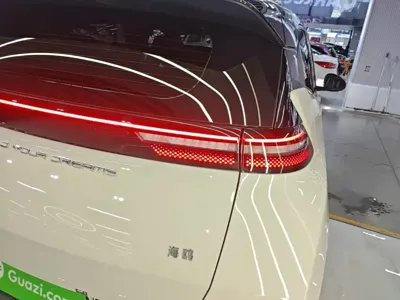 BYD Seagull