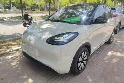 Wuling Bingo