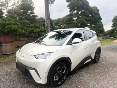 BYD Seagull