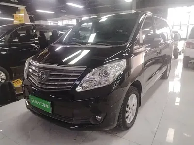 Fengxing Lingzhi PLUS