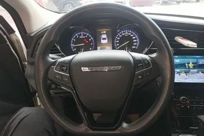 Venucia D60
