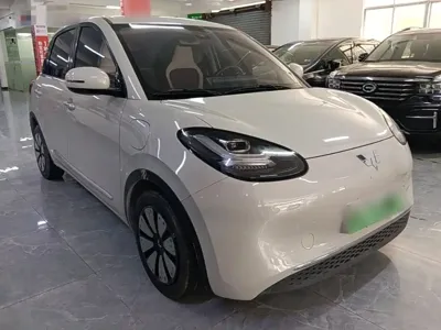 Wuling Bingo