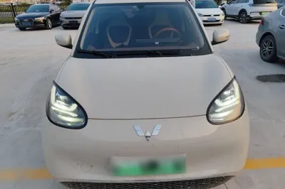 Wuling Bingo