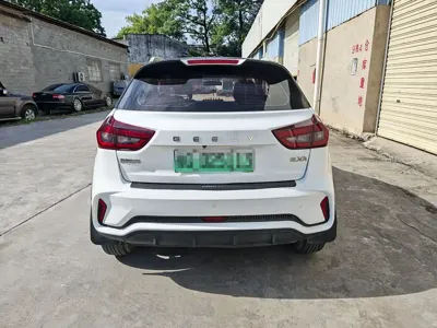 Geometry EX3 Kung Fu Bull