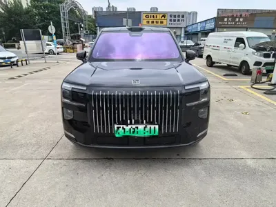 Zeekr 极氪9X