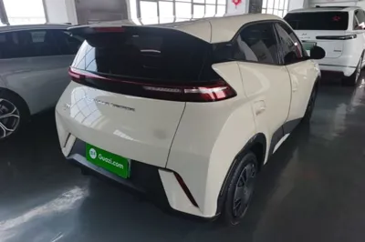BYD Seagull