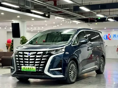 Denza Denza D9