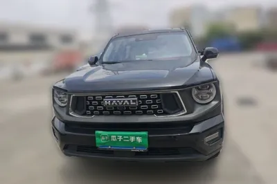 Haval H Dog