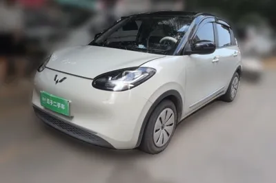 Wuling Bingo