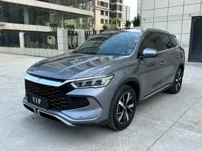 BYD Pro New Energy