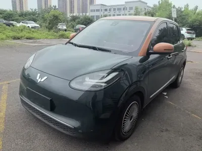 Wuling Bingo