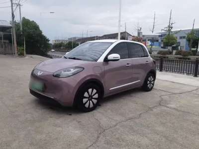 Wuling Bingo