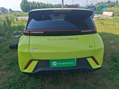 BYD Seagull