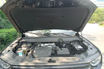 Haval H Dog New Energy