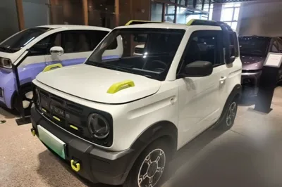 Geely Galaxy Panda