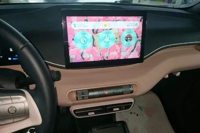 BYD Seagull