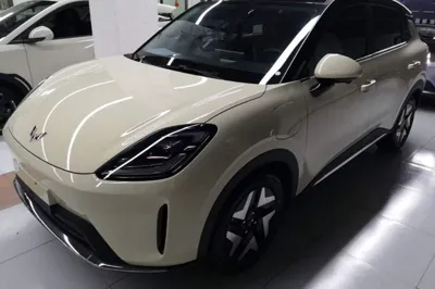 Wuling Bingo S