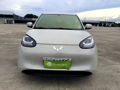 Wuling Bingo