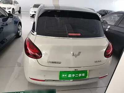 Wuling Bingo