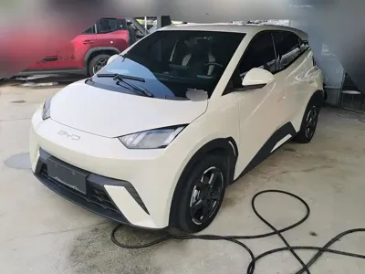 BYD Seagull