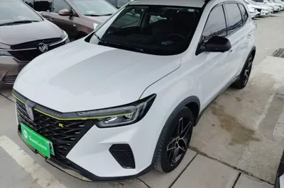 Roewe RX5 New Energy