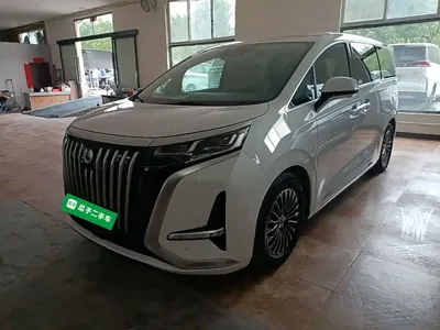 Denza Denza D9