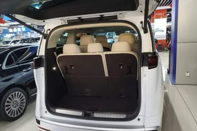 Denza D9