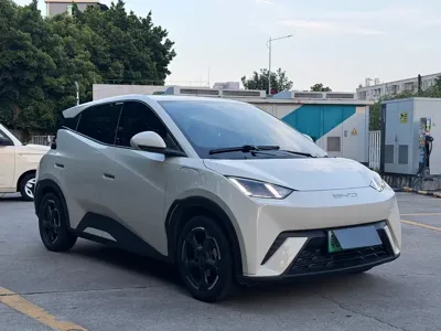 BYD Seagull