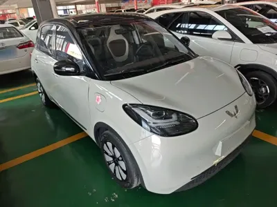 Wuling Bingo