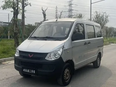 Wuling Zhiguang