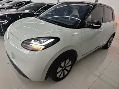 Wuling Bingo