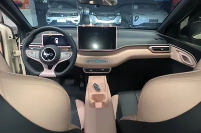 BYD Seagull