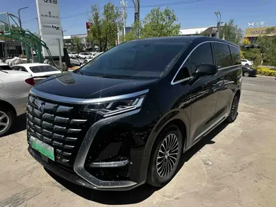 Denza Denza D9