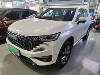 Haval H6 New Energy