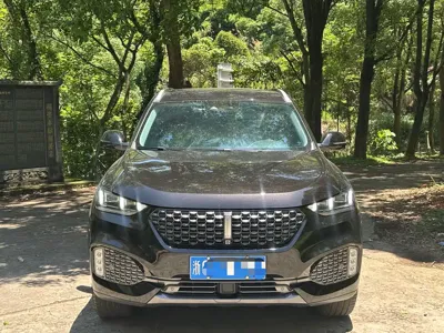 WEY Wey VV6