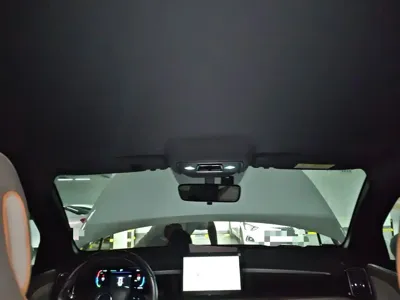 BYD Pro New Energy