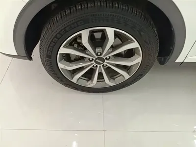 WEY Wey VV6
