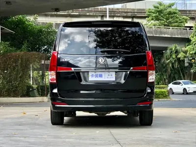 Fengxing Lingzhi PLUS